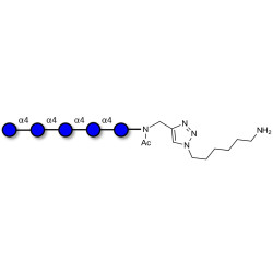 Maltopentaose DP5 with free terminal amine (Linker-NH2 D)