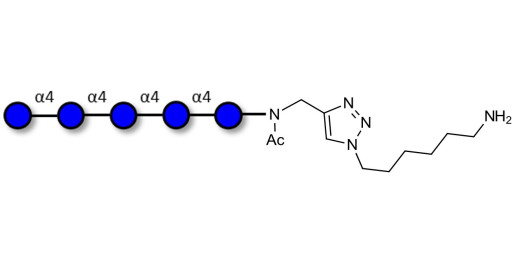 Maltopentaose DP5 with free terminal amine (Linker-NH2 D)