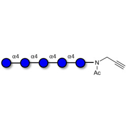 Maltopentaose DP5 with terminal alkyne (Linker-CΞCH A)