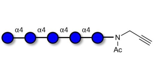 Maltopentaose DP5 with terminal alkyne (Linker-CΞCH A)