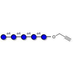 Maltopentaose DP5 with terminal alkyne (Linker-CΞCH B)