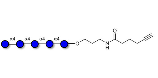 Maltopentaose DP5 with terminal alkyne (Linker-CΞCH C)