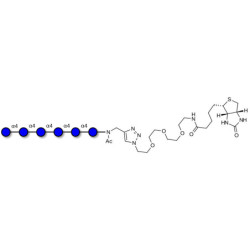 Maltohexaose DP6 linked to biotin (Linker-BT A)