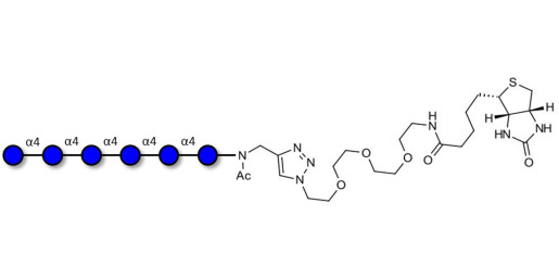 Maltohexaose DP6 linked to biotin (Linker-BT A)