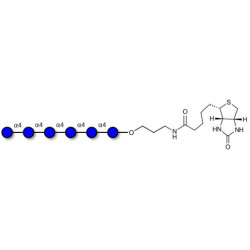Maltohexaose DP6 linked to biotin (Linker-BT B)