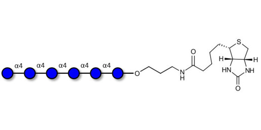 Maltohexaose DP6 linked to biotin (Linker-BT B)
