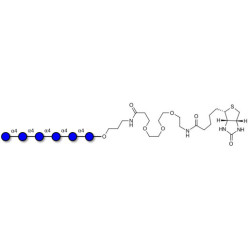 Maltohexaose DP6 linked to biotin (Linker-BT C)