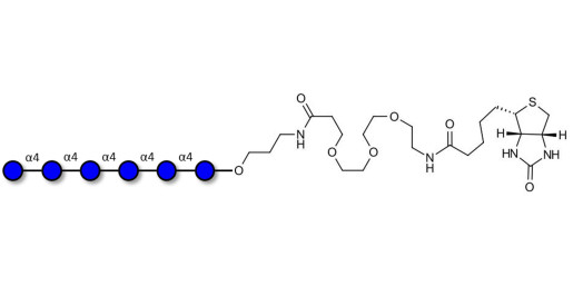 Maltohexaose DP6 linked to biotin (Linker-BT C)