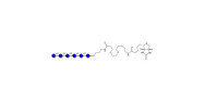 Maltohexaose DP6 linked to...