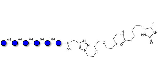Maltohexaose DP6 linked to desthiobiotin (Linker-DBT-A)