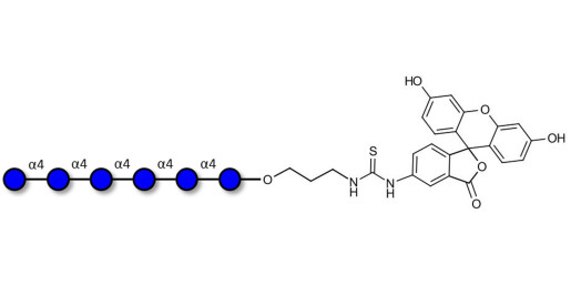 Maltohexaose DP6 linked to fluorescein (Linker-FLUO A)