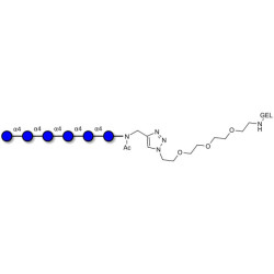 Maltohexaose DP6 grafted on gel for affinity chromatography (Linker-GEL A)