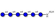Maltohexaose DP6 grafted on...