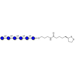 Maltohexaose DP6 with cyclic di-thiol (Linker-LIPO A)