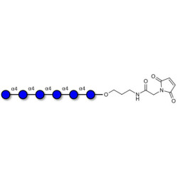Maltohexaose DP6 linked to maleimide (Linker-MAL A)