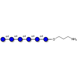 Maltohexaose DP6 with free terminal amine (Linker-NH2 A)