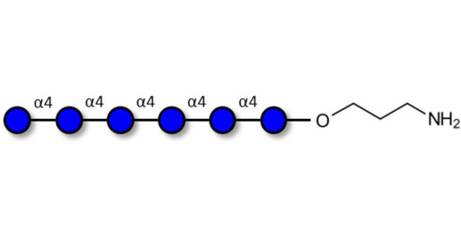Maltohexaose DP6 with free terminal amine (Linker-NH2 A)
