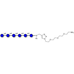 Maltohexaose DP6 with free terminal amine (Linker-NH2 B)