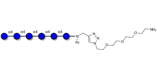 Maltohexaose DP6 with free terminal amine (Linker-NH2 B)