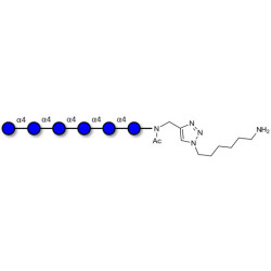 Maltohexaose DP6 with free terminal amine (Linker-NH2 D)
