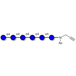 Maltohexaose DP6 with terminal alkyne (Linker-CΞCH A)