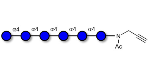 Maltohexaose DP6 with terminal alkyne (Linker-CΞCH A)