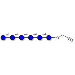 Maltohexaose DP6 with terminal alkyne (Linker-CΞCH B)