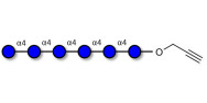 Maltohexaose DP6 with...