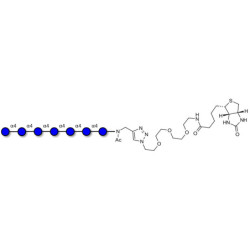 Maltoheptaose DP7 linked to biotin (Linker-BT A)