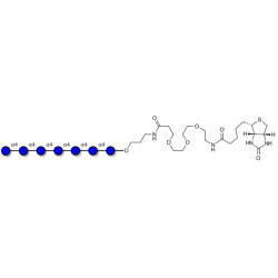 Maltoheptaose DP7 linked to biotin (Linker-BT C)