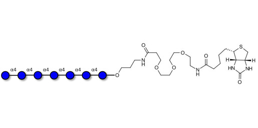 Maltoheptaose DP7 linked to biotin (Linker-BT C)