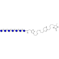 Maltoheptaose DP7 linked to desthiobiotin (Linker-DBT-A)