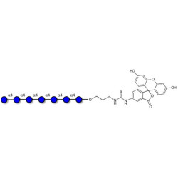 Maltoheptaose DP7 linked to fluorescein (Linker-FLUO A)