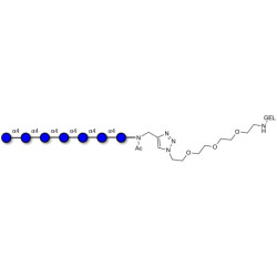 Maltoheptaose DP7 grafted on gel for affinity chromatography (Linker-GEL A)