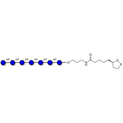 Maltoheptaose DP7 with cyclic di-thiol (Linker-LIPO A)
