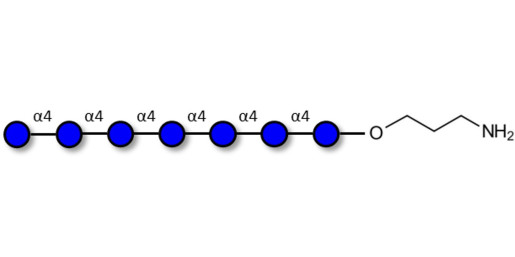 Maltoheptaose DP7 with free terminal amine (Linker-NH2 A)