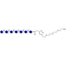 Maltoheptaose DP7 with free terminal amine (Linker-NH2 B)