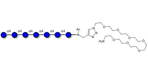 Maltoheptaose DP7 with free terminal amine (Linker-NH2 C)