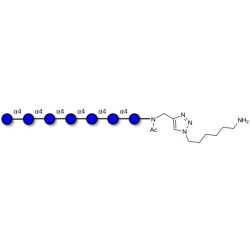 Maltoheptaose DP7 with free terminal amine (Linker-NH2 D)