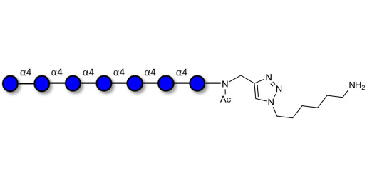 Maltoheptaose DP7 with free terminal amine (Linker-NH2 D)