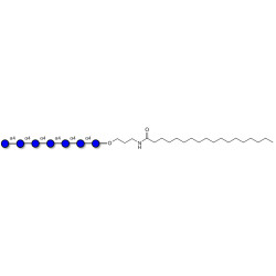Maltoheptaose DP7 with stearic chain (Linker-STEA A)