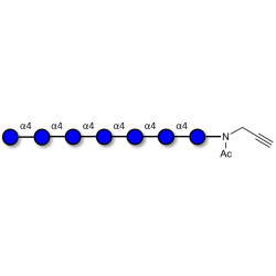Maltoheptaose DP7 with terminal alkyne (Linker-CΞCH A)