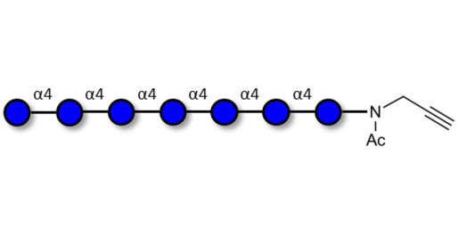 Maltoheptaose DP7 with terminal alkyne (Linker-CΞCH A)