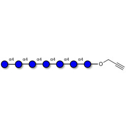 Maltoheptaose DP7 with terminal alkyne (Linker-CΞCH B)