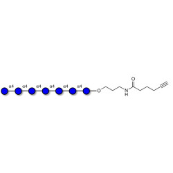 Maltoheptaose DP7 with terminal alkyne (Linker-CΞCH C)