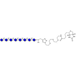 Maltooctaose DP8 linked to biotin (Linker-BT A)