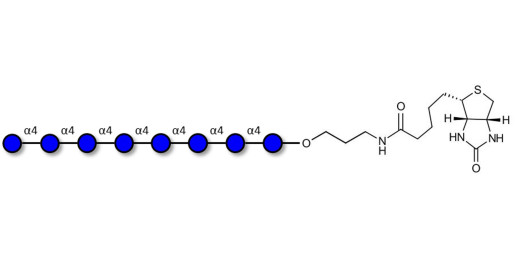 Maltooctaose DP8 linked to biotin (Linker-BT B)