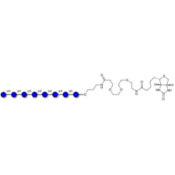 Maltooctaose DP8 linked to biotin (Linker-BT C)