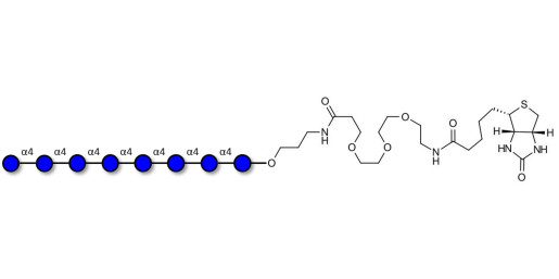 Maltooctaose DP8 linked to biotin (Linker-BT C)