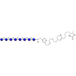 Maltooctaose DP8 linked to desthiobiotin (Linker-DBT-A)